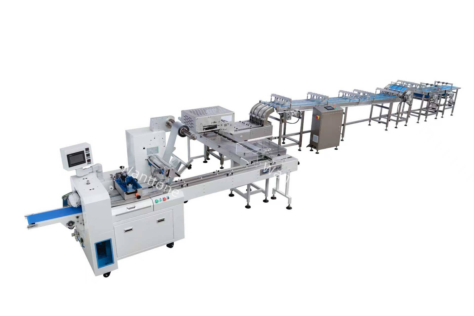 Biscuit Processing System